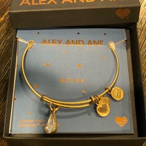 Alex and Ani Bracelet
